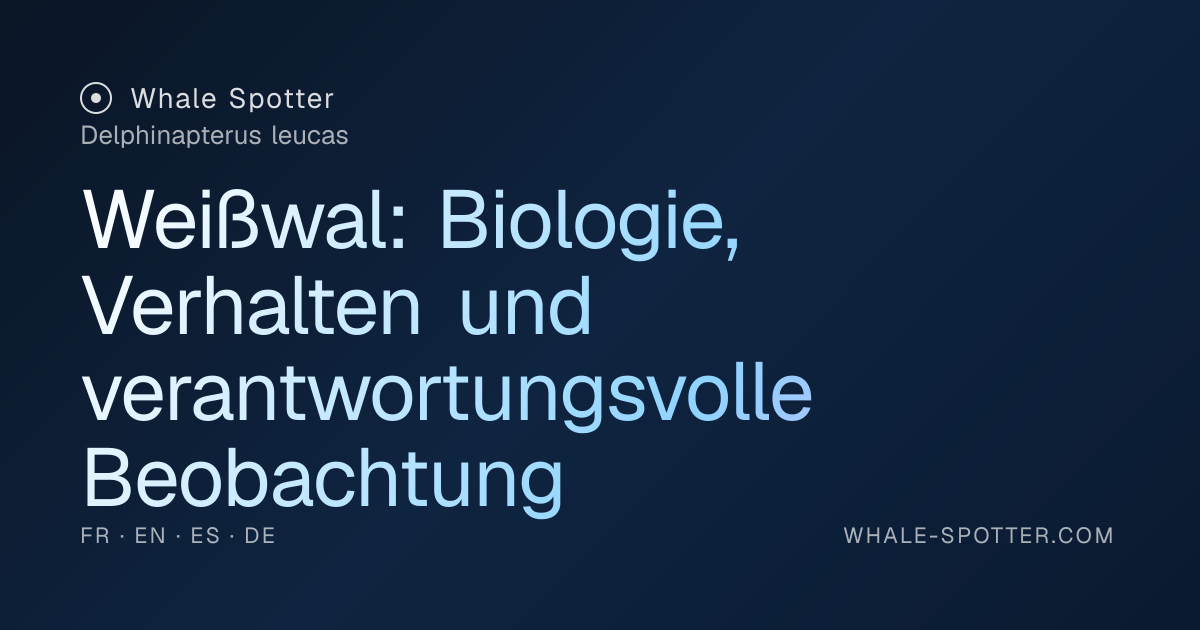 Weißwal (Delphinapterus leucas): Beobachtungsführer · Whale Spotter