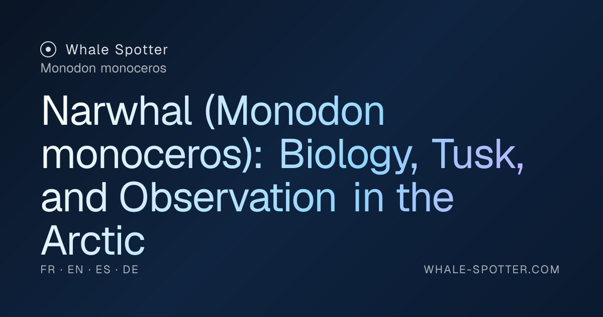 Narwhal: Biology, Tusk, and Where to Observe · Whale Spotter