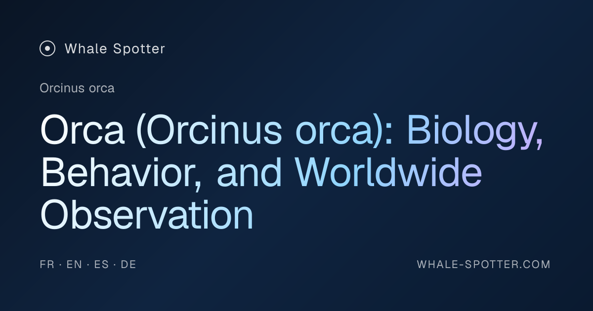 Orca (Orcinus orca): Identification, Behavior, and Where to Observe ...