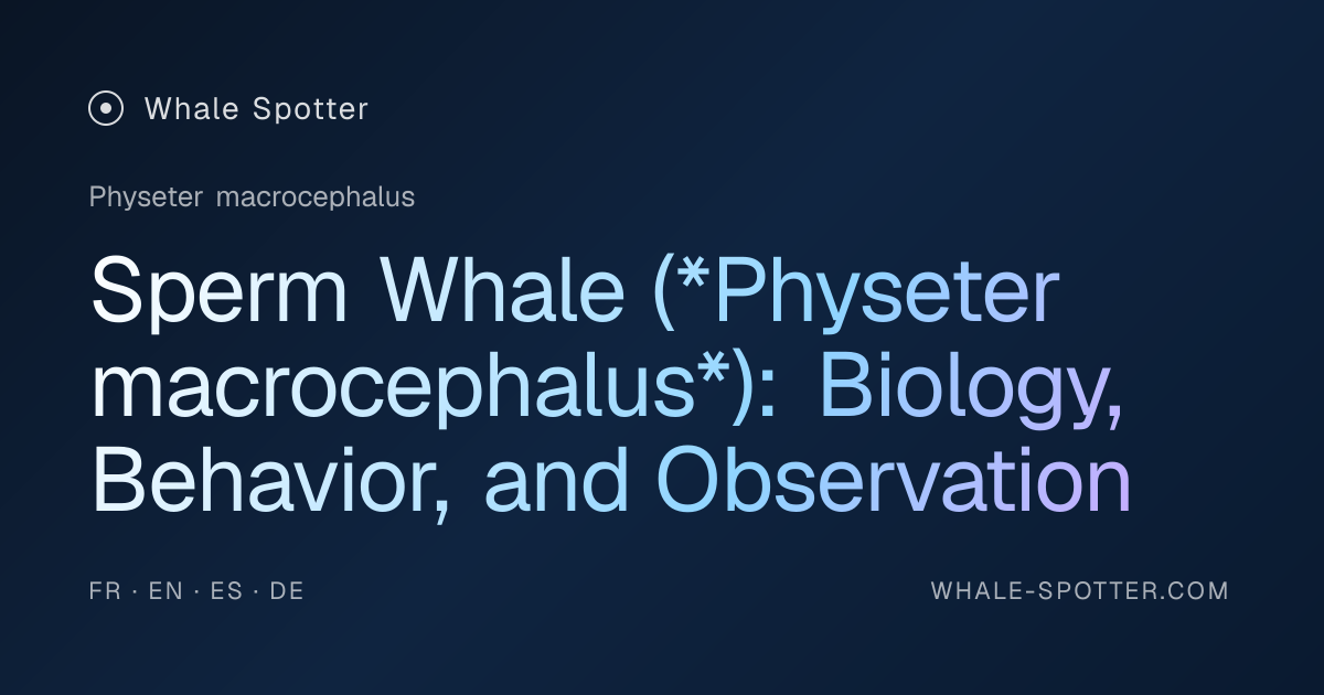 Sperm Whale: Biology, Observation, and Conservation · Whale Spotter