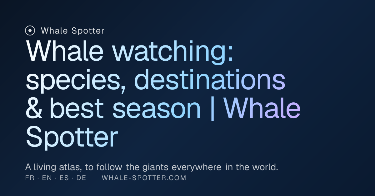 Whale watching worldwide: map, species & season | Whale Spotter