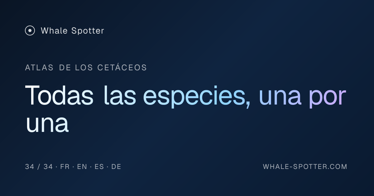 Todas las especies, una por una · Whale Spotter