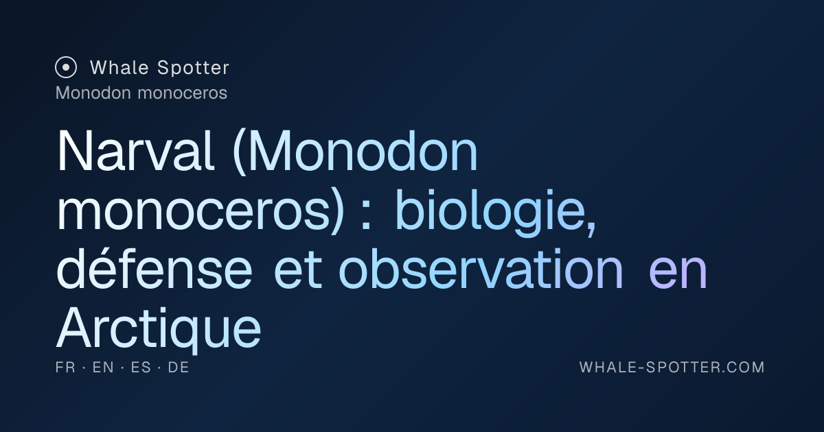 Narval : biologie, défense et où l'observer · Whale Spotter